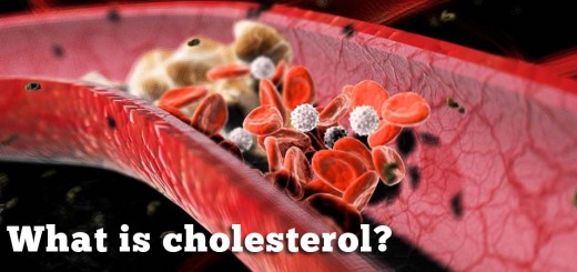 What is cholesterol?