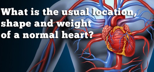 What is the usual location shape and weight of a normal heart