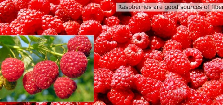 Raspberries-are-good-sources-of-fiber-featured