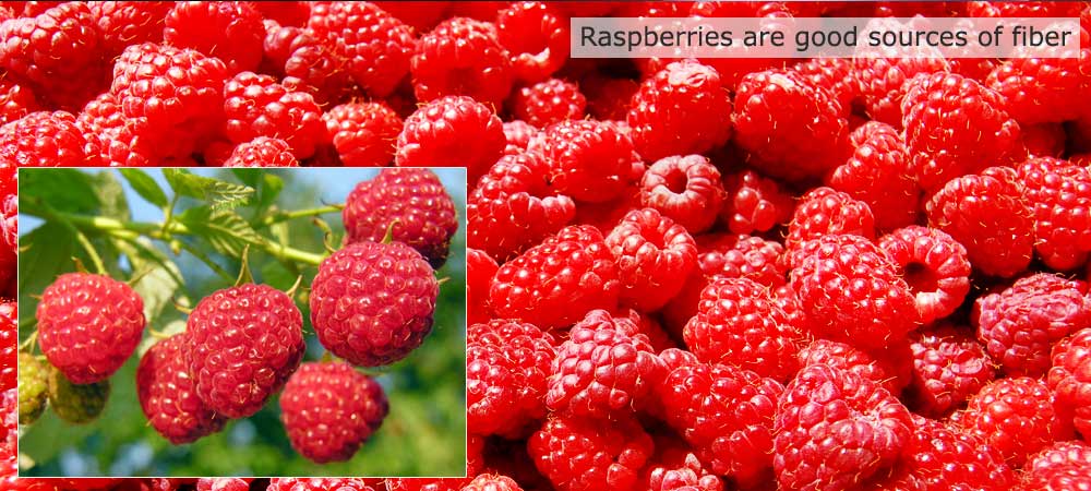 Health Benefits of Raspberries
